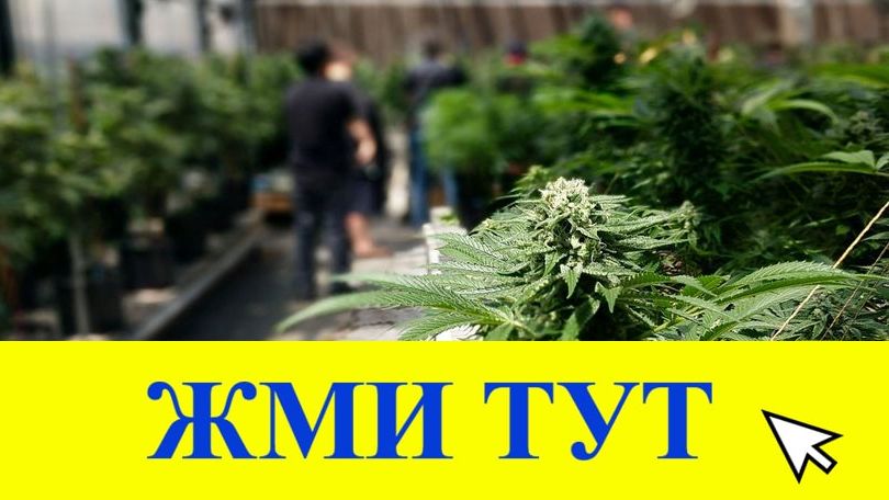 Купить наркотики в Исилькуле